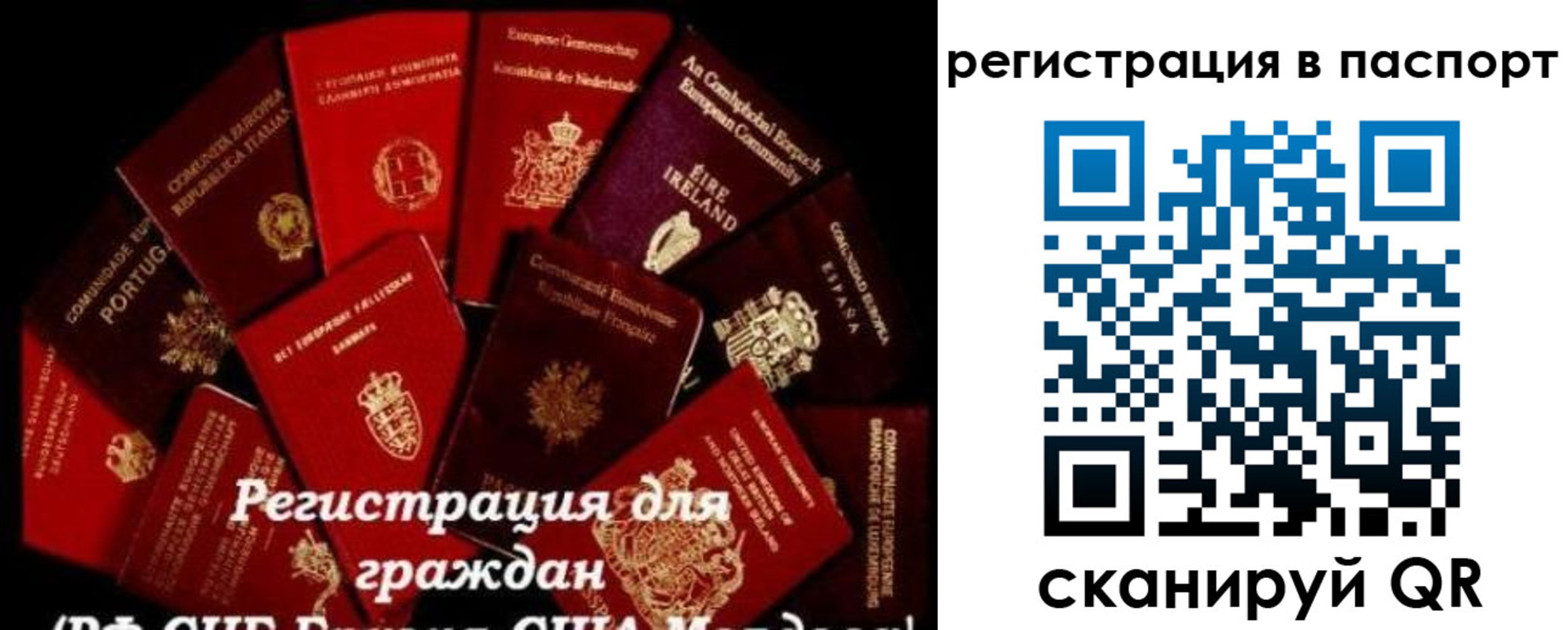 миграционный учет в Кольчугино